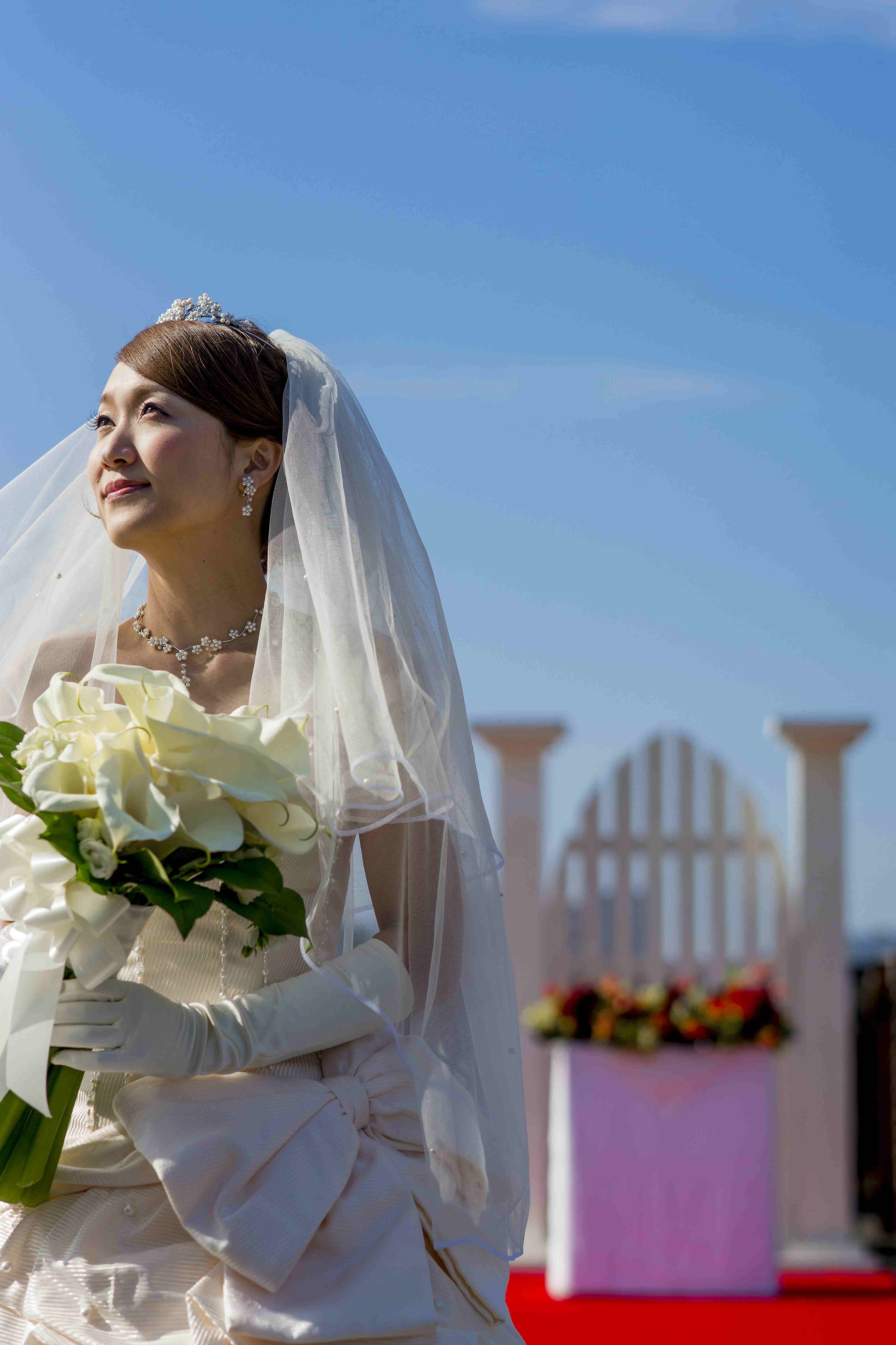 ���ȸ��ꡪ�����󼰤�꥾���Ⱥ��˥����������1.5���񥢥ե����ѡ��ƥ��ץ���